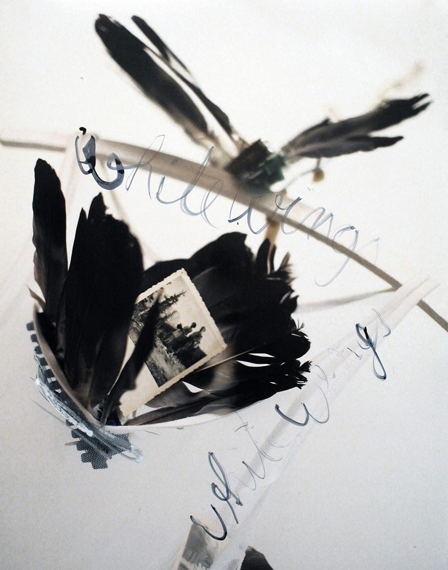 Augenblicke  - von Leben und Sterben